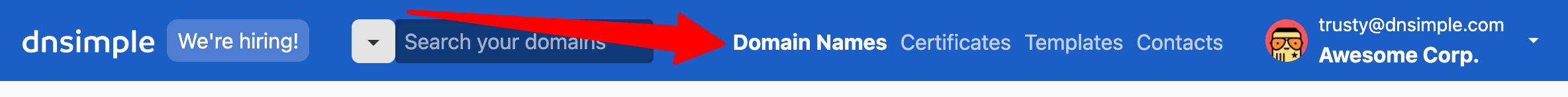 Domain Names Tab