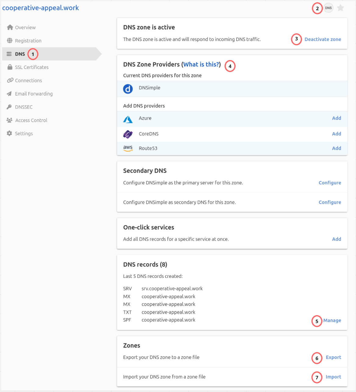 Screenshot of DNS tab